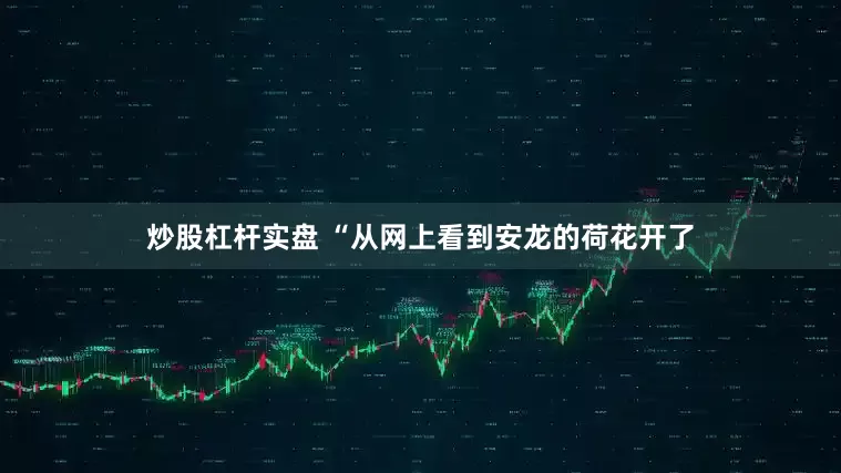 炒股杠杆实盘 “从网上看到安龙的荷花开了