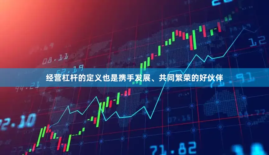 经营杠杆的定义也是携手发展、共同繁荣的好伙伴