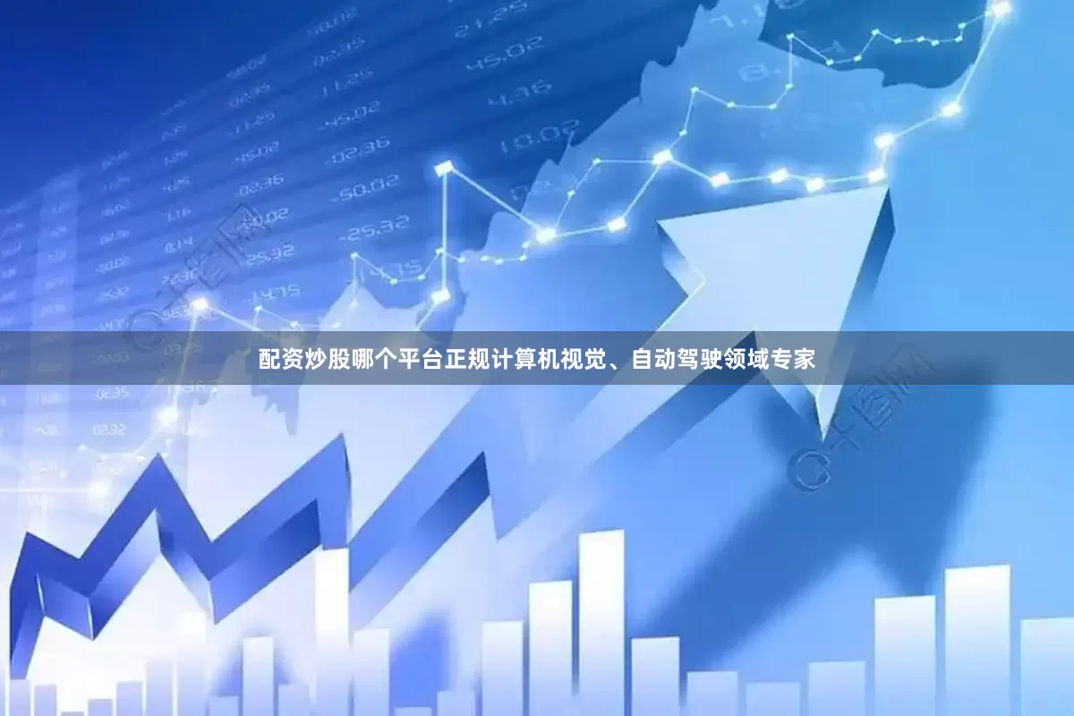 配资炒股哪个平台正规计算机视觉、自动驾驶领域专家