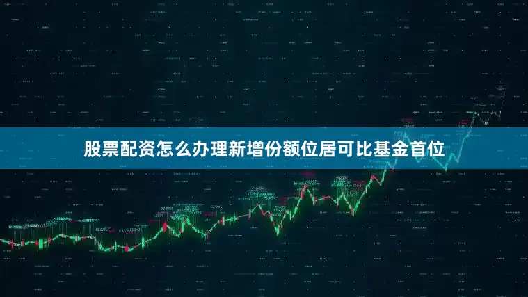 股票配资怎么办理新增份额位居可比基金首位